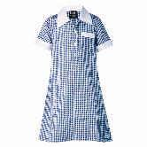 Dgps Girls Check Summer Dress 
